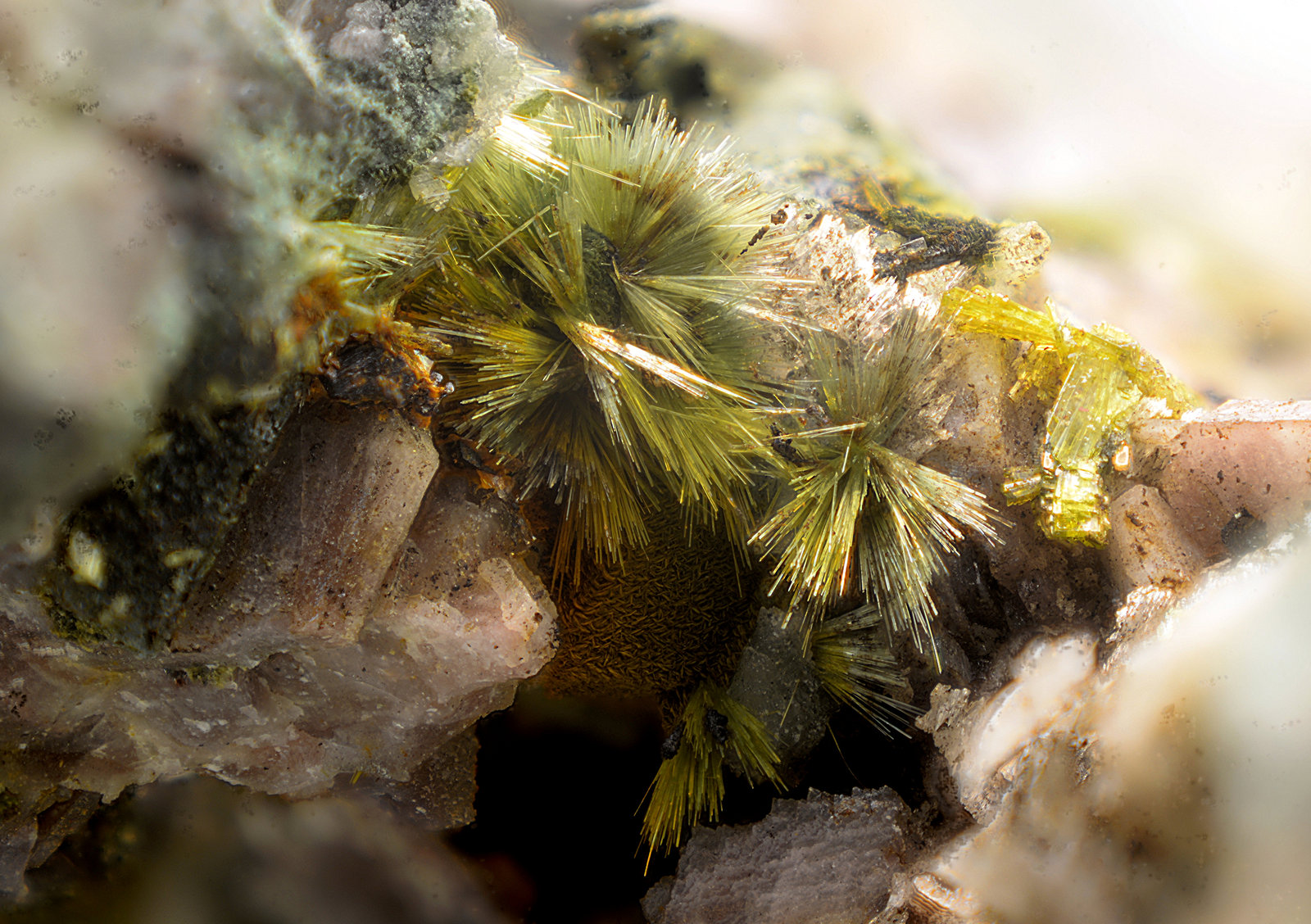 Pumpellyita, Clinozoisita, Magnetita y Oligoclasa
Campo de visión de 12 mm.
(Autor: Antonio Carmona)