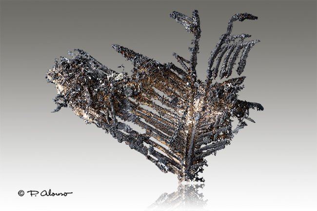 Plata
3cm x 5cm x 0,5cm
(Autor: Pere Alonso)