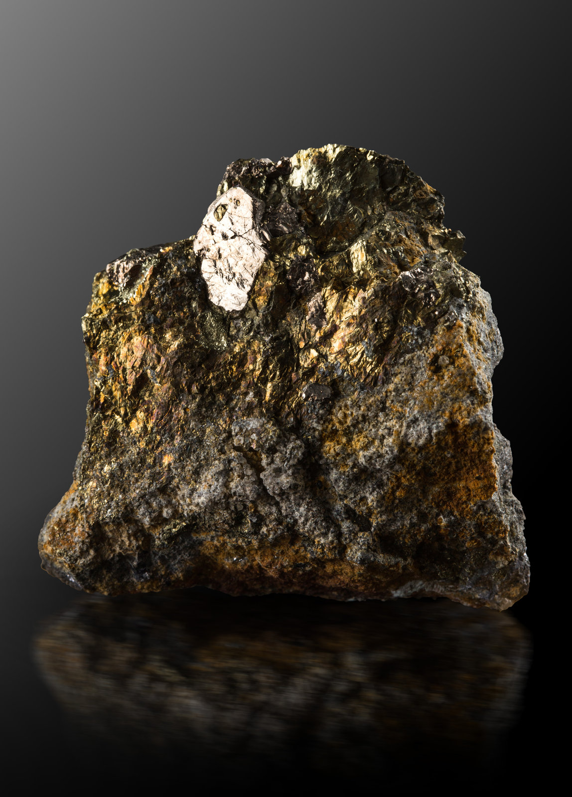 Arsenohauchecornita [Arsenohauchecornite] sobre Calcopirita [Chalcopyrite]
4.5 x 4 x 1.5 cm / cristal principal: 1.1 cm
(Autor: Museo MIM)