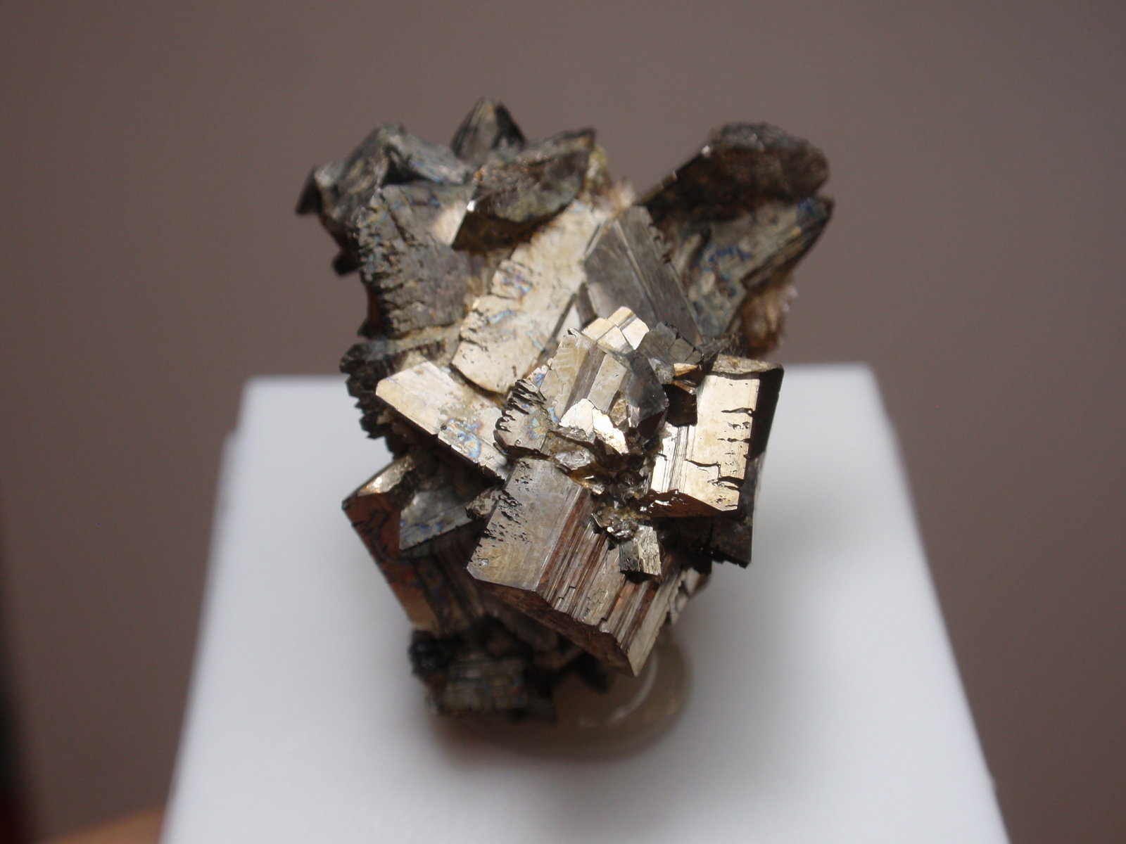 Arsenopirita
25x30 mm
(Autor: Ignacio)