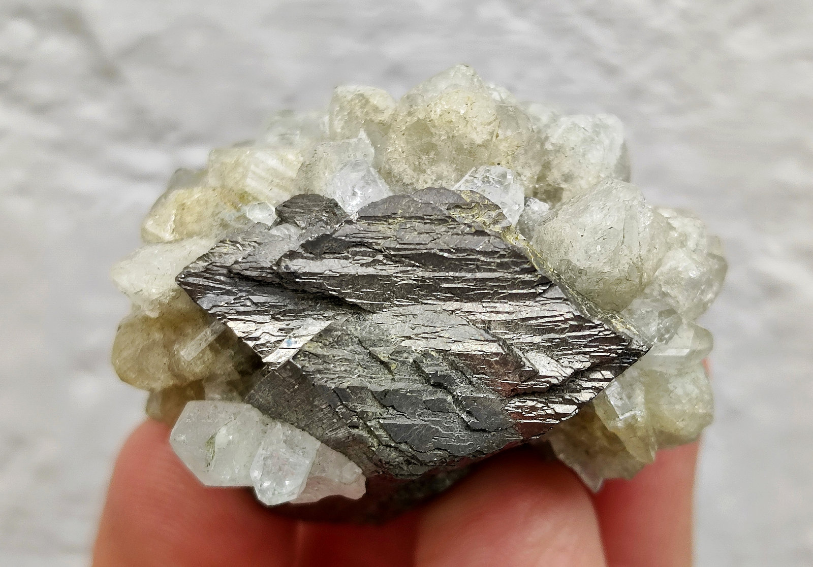 Arsenopirita, Topacio
4,4 x 3,5 x 3,0 cm
(Autor: carles)