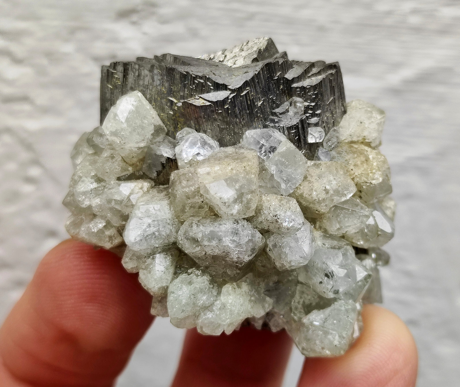 Arsenopirita, Topacio
4,4 x 3,5 x 3,0 cm
(Autor: carles)