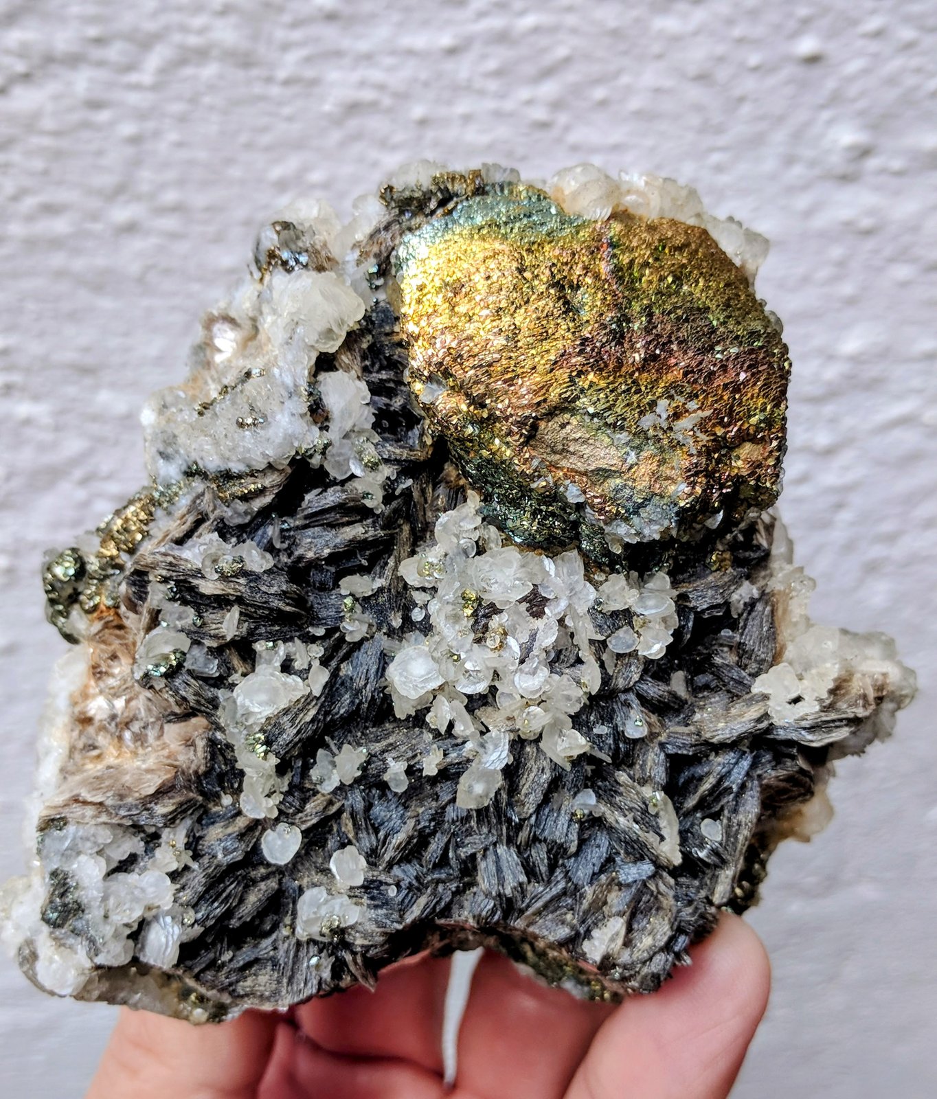 Arsenopirita, Pirita, Moscovita, Cuarzo
9,8 x 8,0 x 6,3 cm
(Autor: carles)