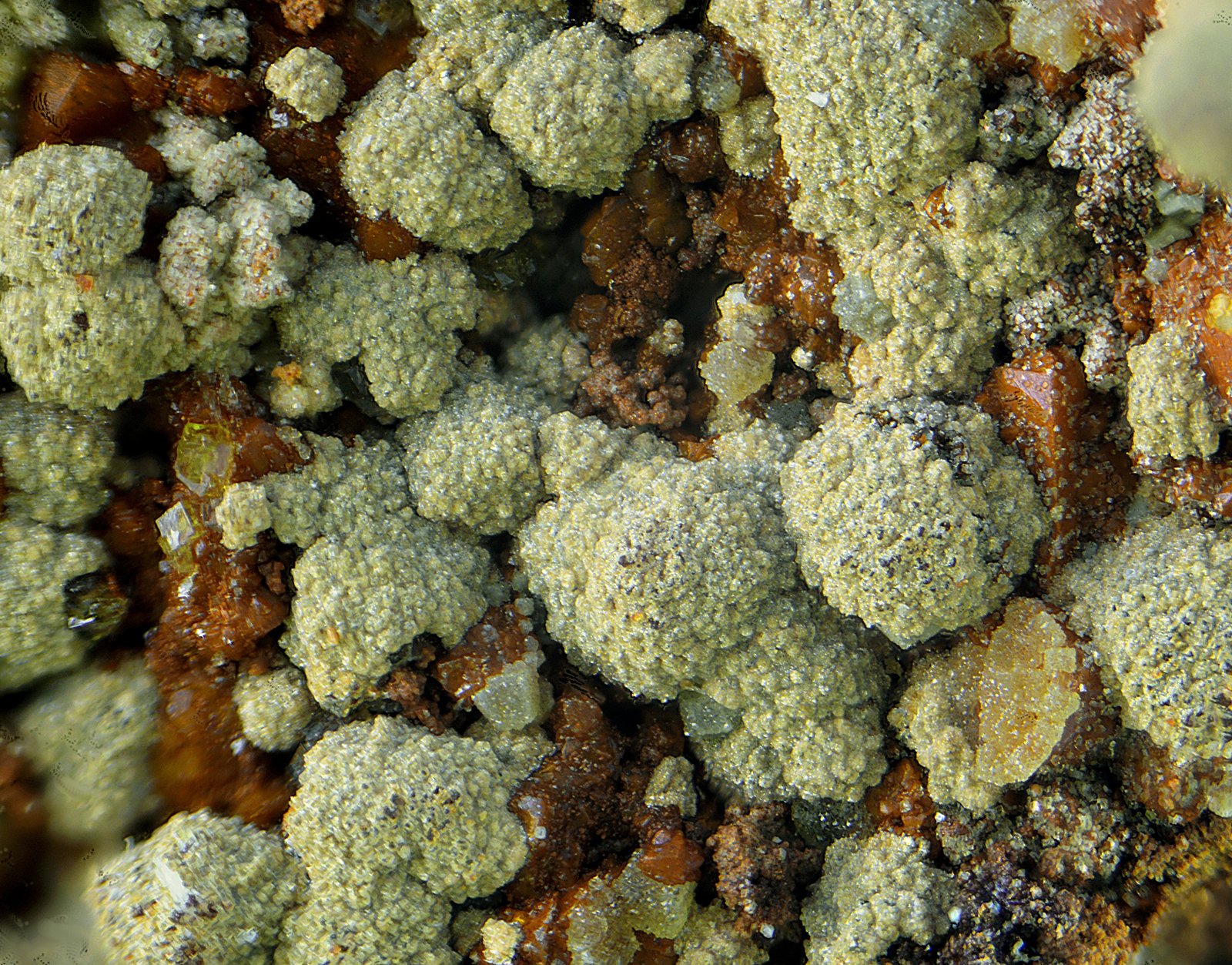 Arseniosiderita y Farmacosiderita.
Campo de visión de 1 mm.
(Autor: Antonio Carmona)