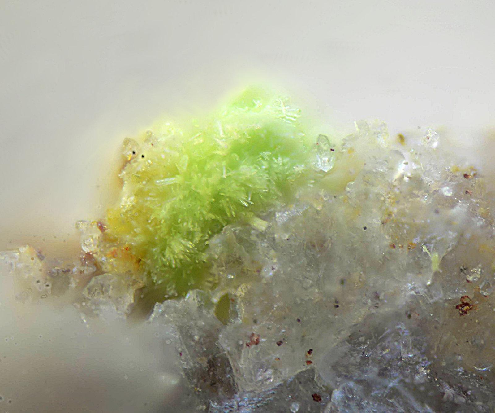 Arthurita
Campo de visión de 0,7 mm
(Autor: Antonio Carmona)