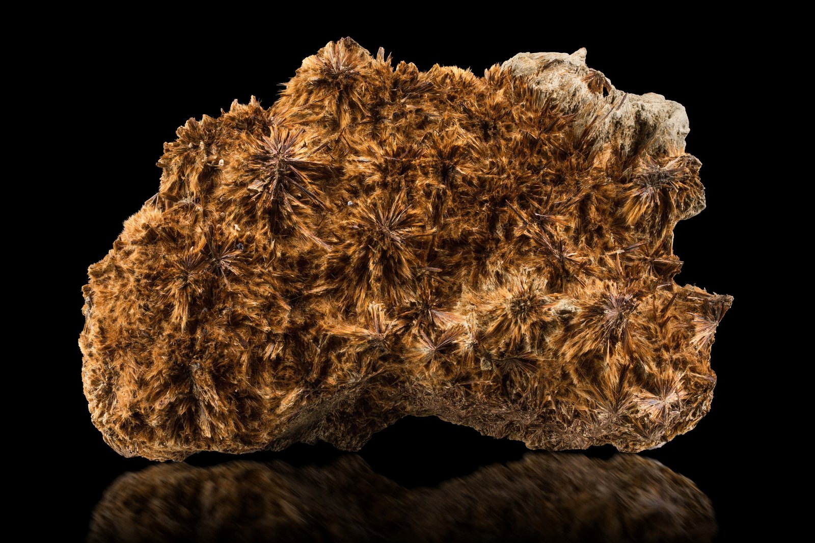 Astrofilita
23 x 18 x 10 cm / Cristal principal: 2.5 cm.
(Autor: Museo MIM)