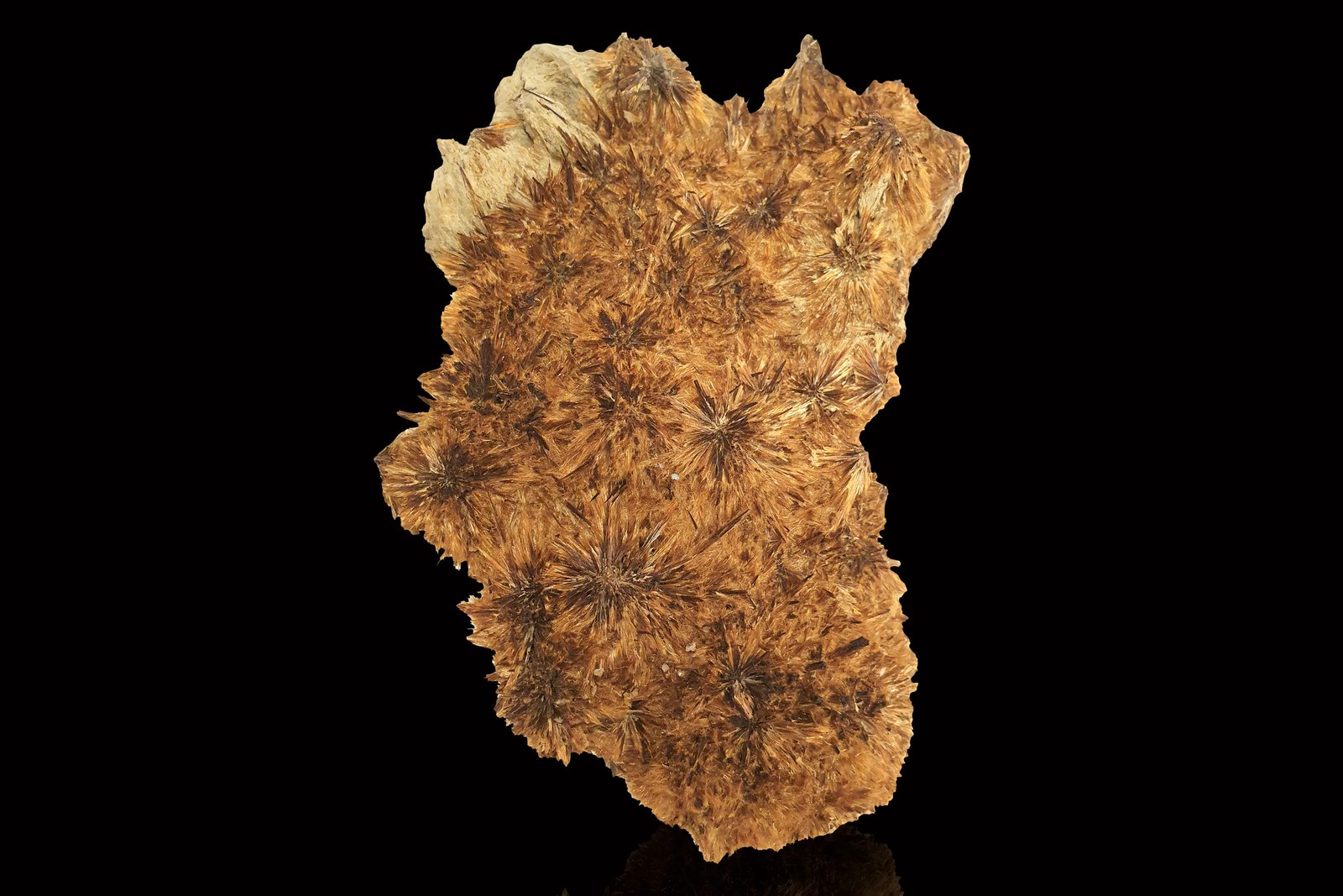 Astrofilita
23 x 18 x 10 cm / Cristal principal: 2.5 cm.
(Autor: Museo MIM)