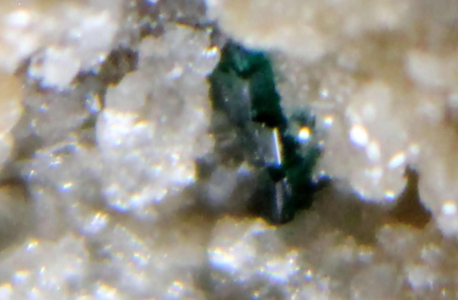 Atacamita
36 x 24 x 21 mm
(Autor: José Luis Zamora)