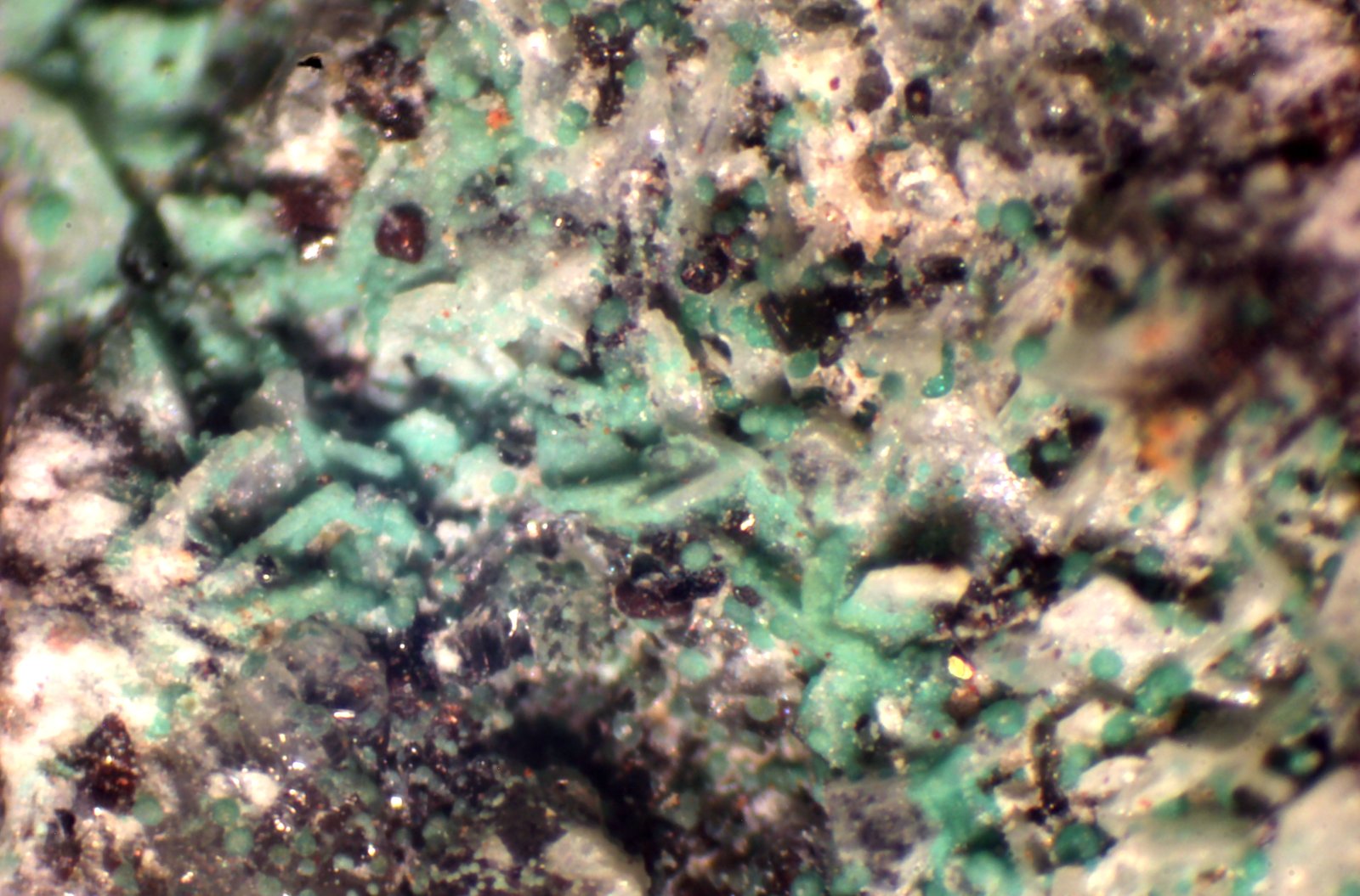 Atacamita pseudo Sanidina
xx < 1 mm
(Autor: José Luis Zamora)