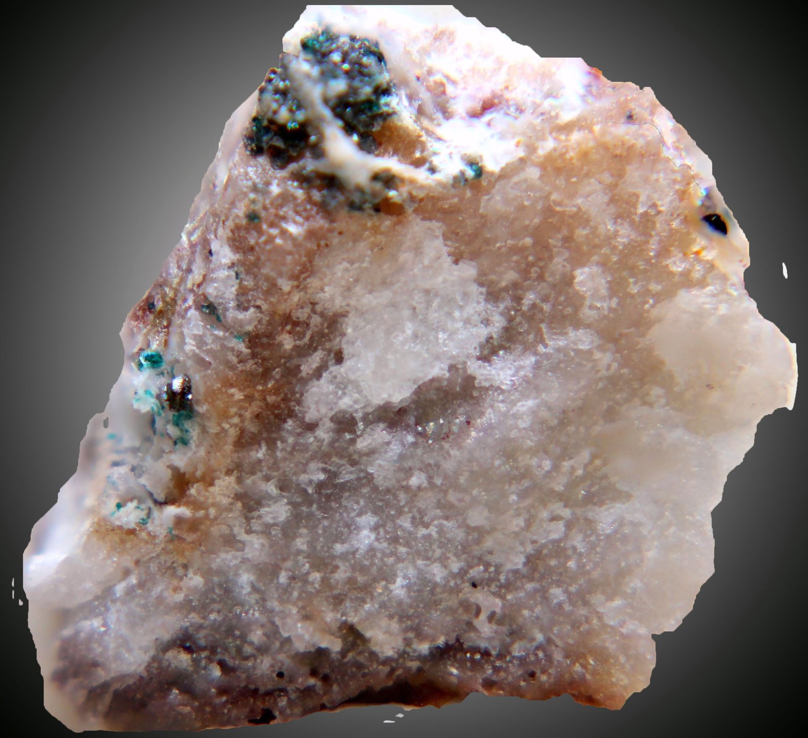 Atacamita
20 x 15 x 14 mm.
(Autor: José Luis Zamora)