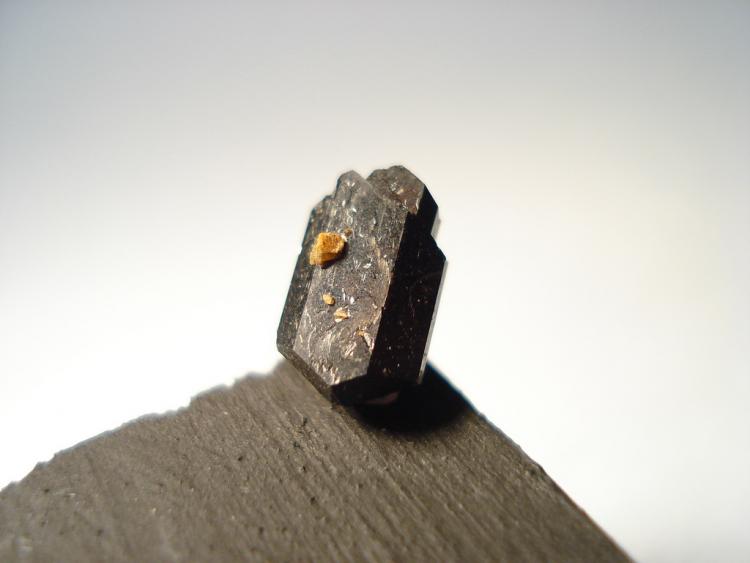 Augita
0,8x0.5cm
(Autor: Edonis)