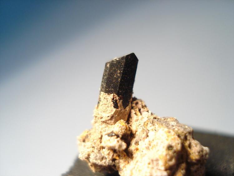 Augita
0,8x0.4cm
(Autor: Edonis)