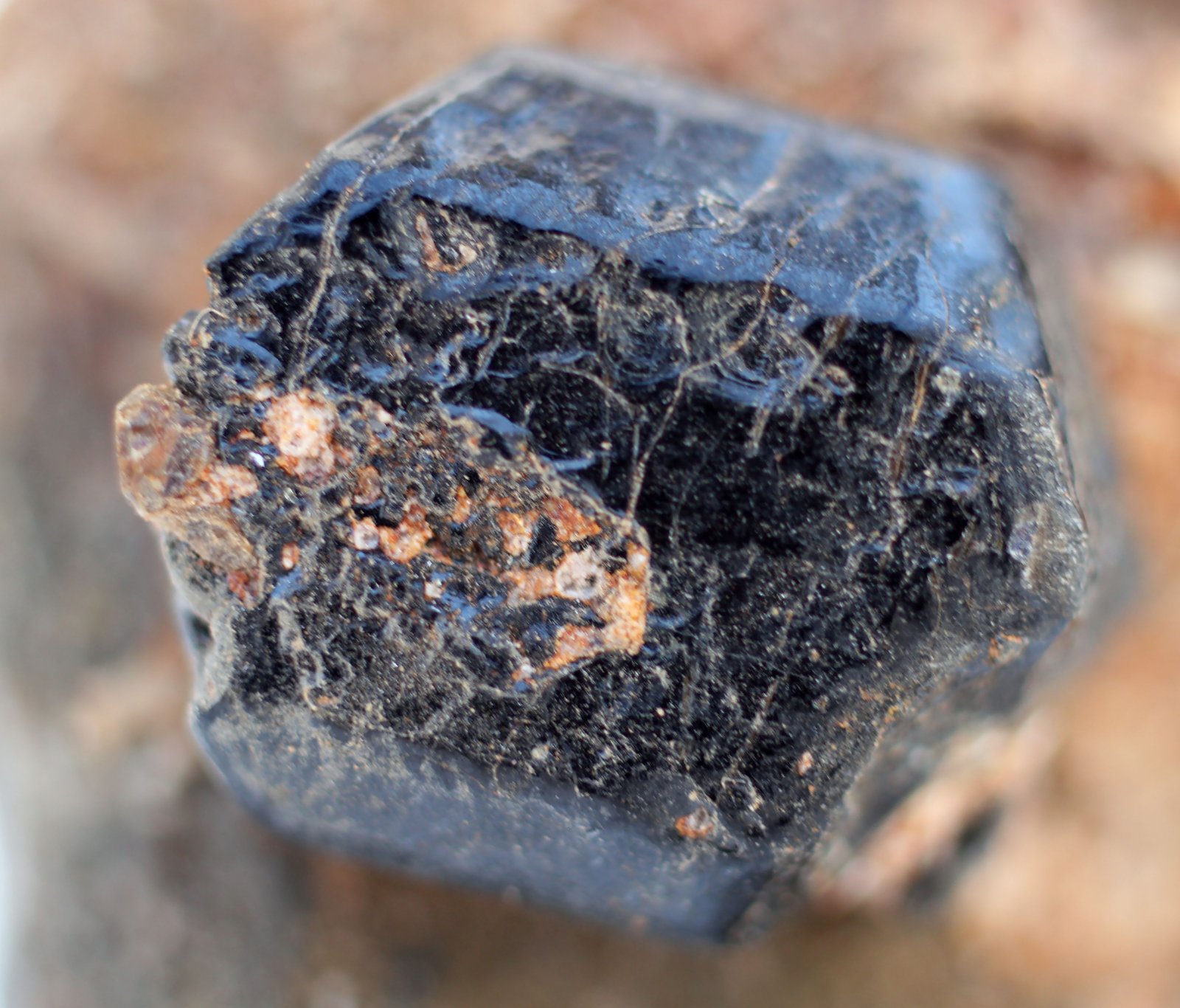 Augita
14 x 11 x 6 mm.
(Autor: José Luis Zamora)