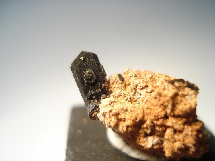 Augita
0,9x0,4cm
(Autor: Edonis)