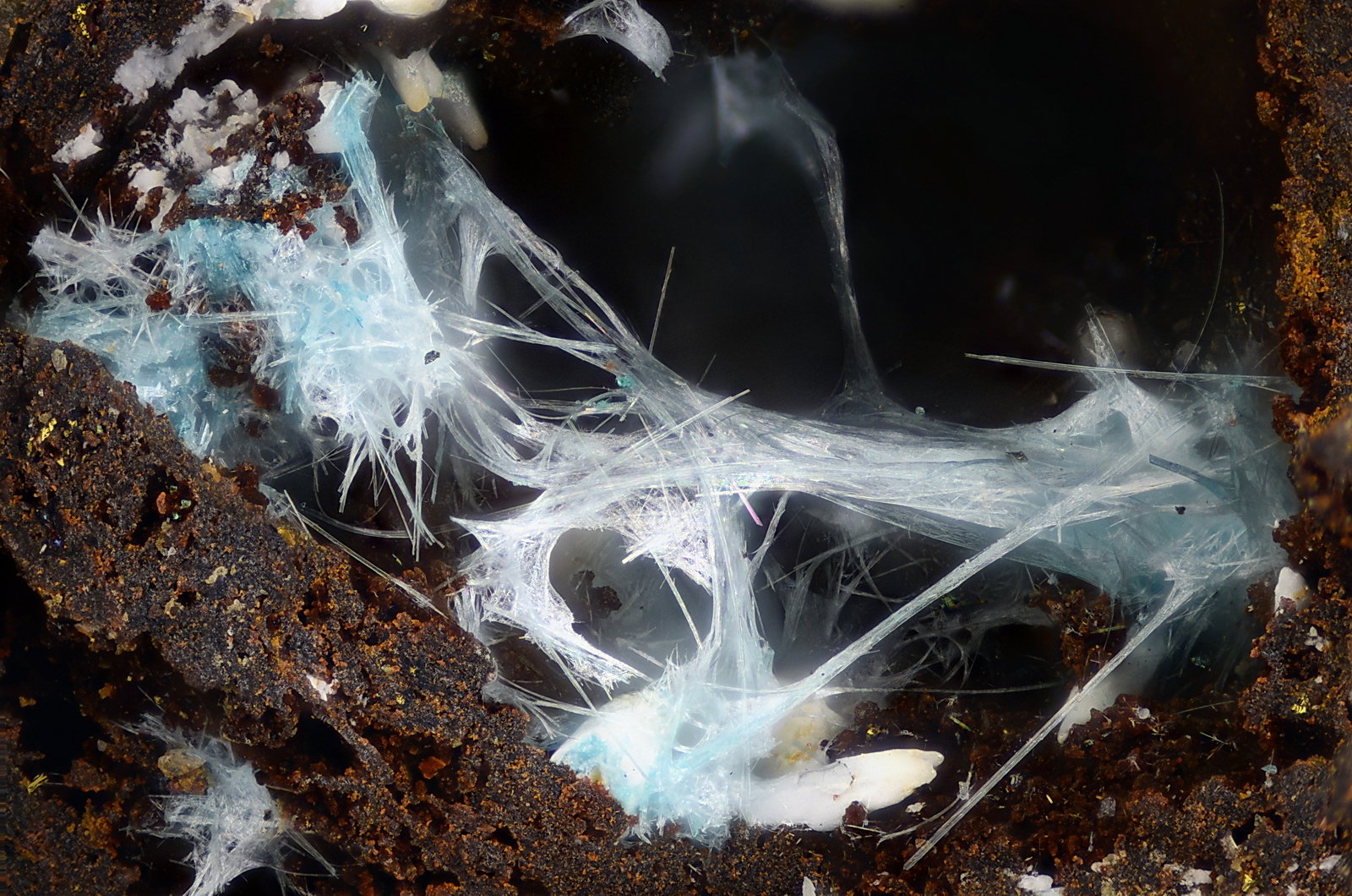 Auricalcita
Campo de visión 2,2 mm.
(Autor: Juan Miguel)