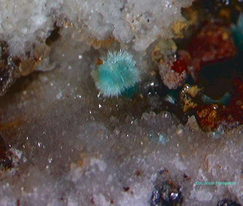 Aurichalcita.
0´214 x 0´202 mm.
(Autor: Jesus Franquesa Baucells)