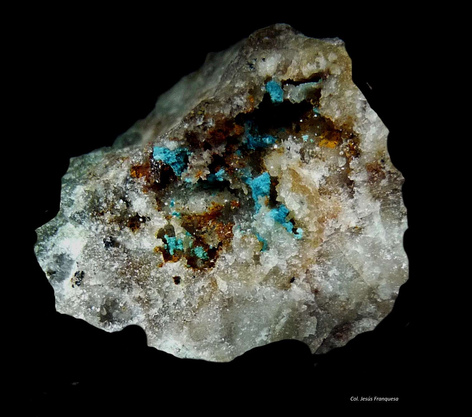 Auricalcita y Cerusita.
30x20 mm.
(Autor: Jesus Franquesa Baucells)