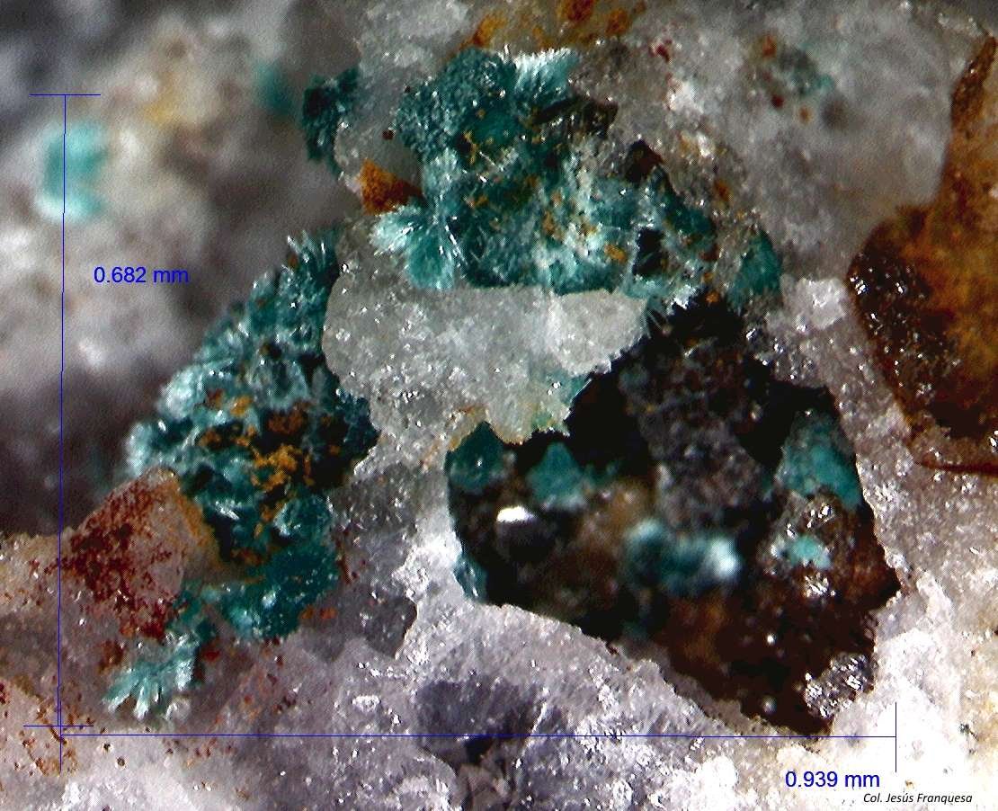 Aurichalcita.
0´939 x 0´682 mm.
(Autor: Jesus Franquesa Baucells)