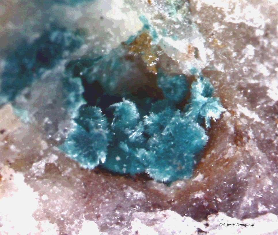 Aurichalcita.
0´789 x 0´579 mm.
(Autor: Jesus Franquesa Baucells)