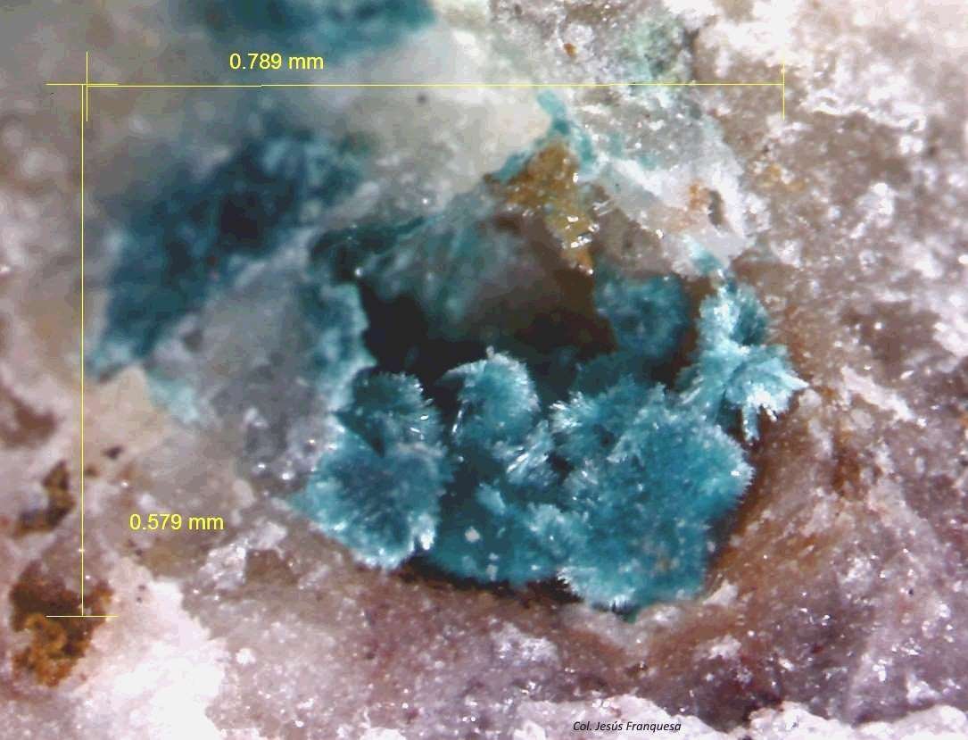 Aurichalcita.
0´789 x 0´579 mm.
(Autor: Jesus Franquesa Baucells)