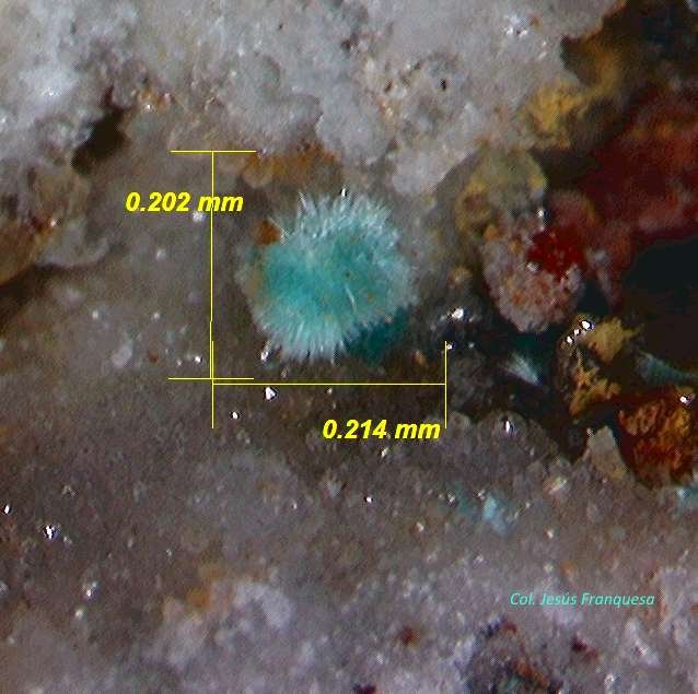 Aurichalcita.
0´214 x 0´202 mm.
(Autor: Jesus Franquesa Baucells)