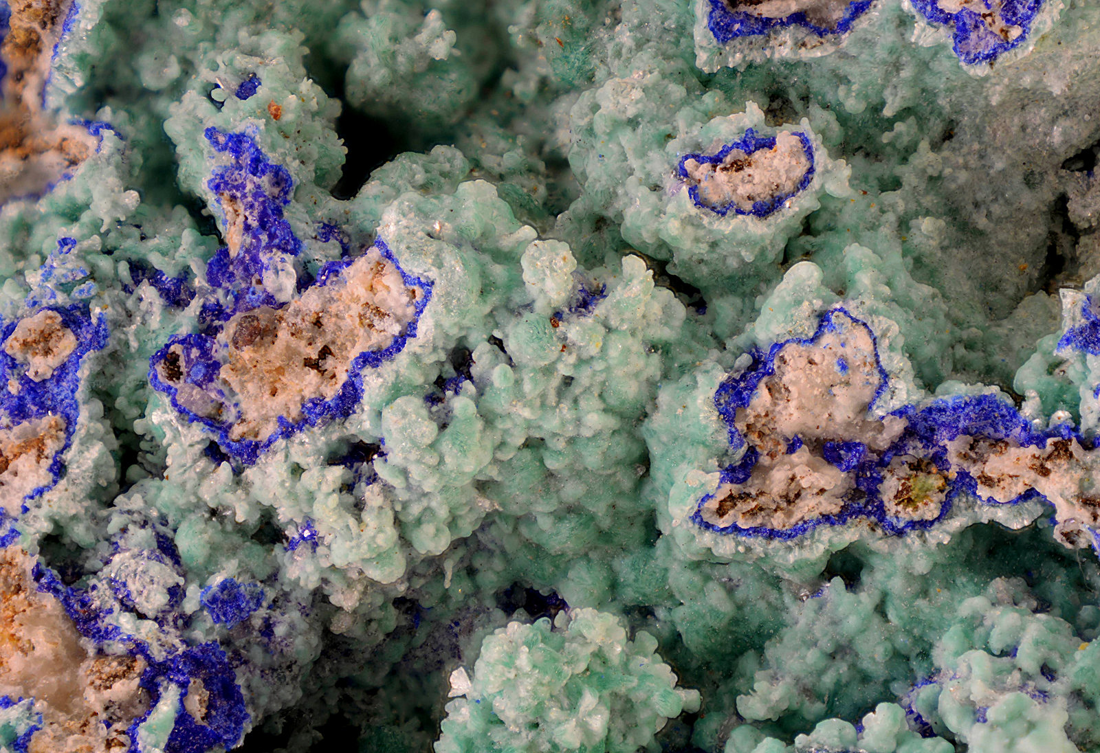Auricalcita y Azurita.
Campo de visión de 10 mm.
(Autor: Antonio Carmona)