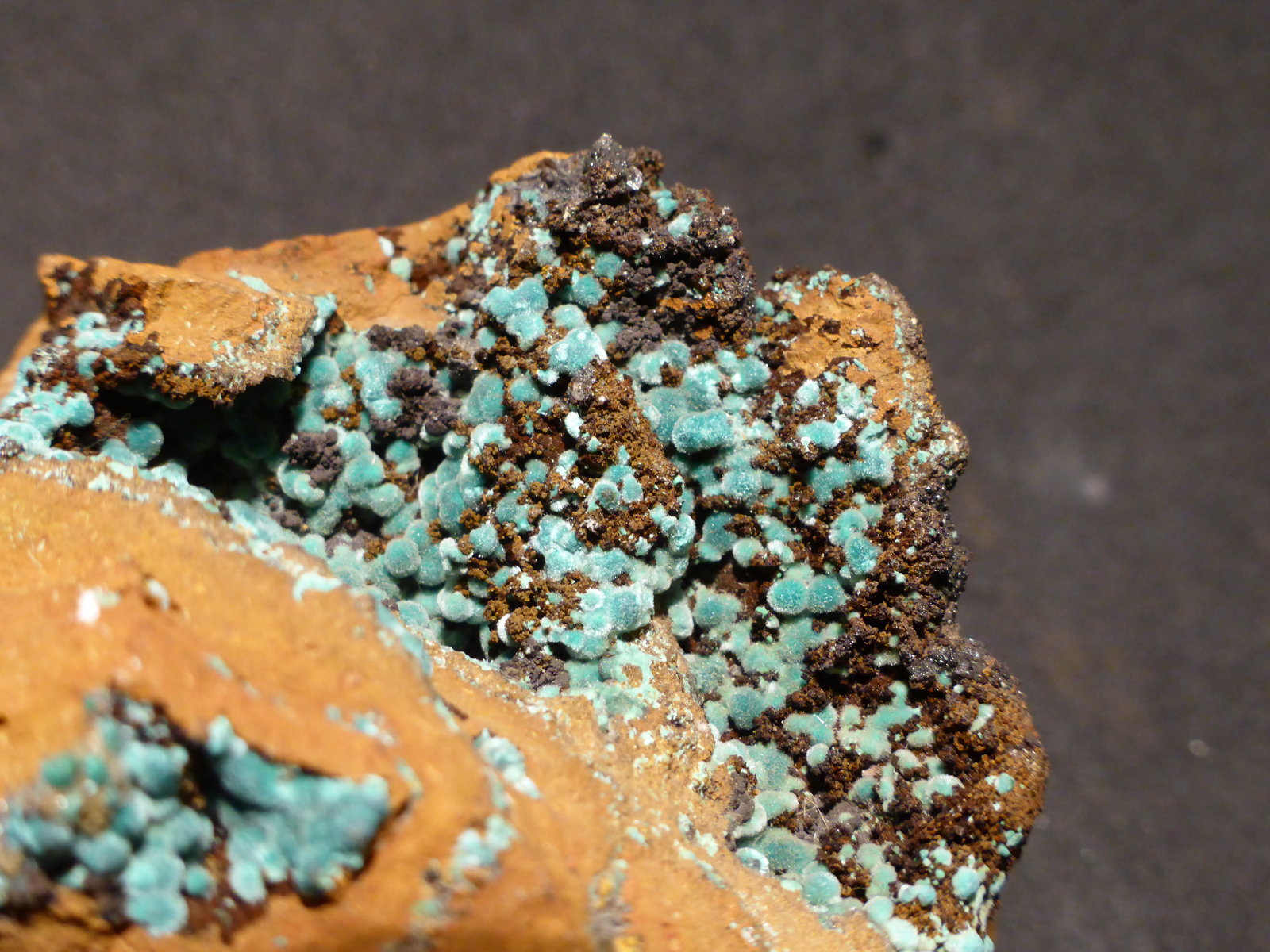 Auricalcita
6x4,5 cm
(Autor: Ander Ispizua Juan)