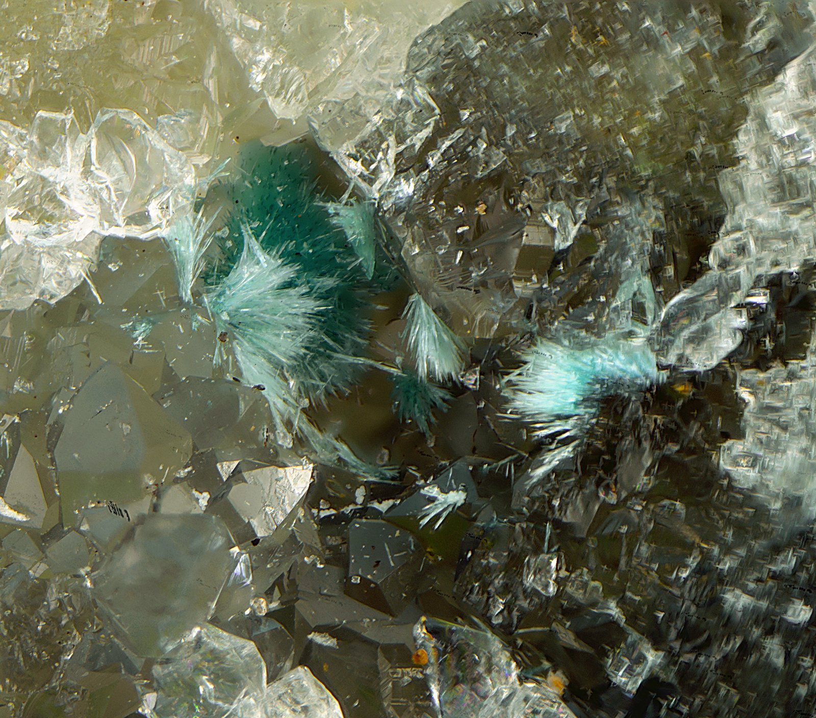 Auricalcita
Campo de visión de 1,5 mm
(Autor: Antonio Carmona)