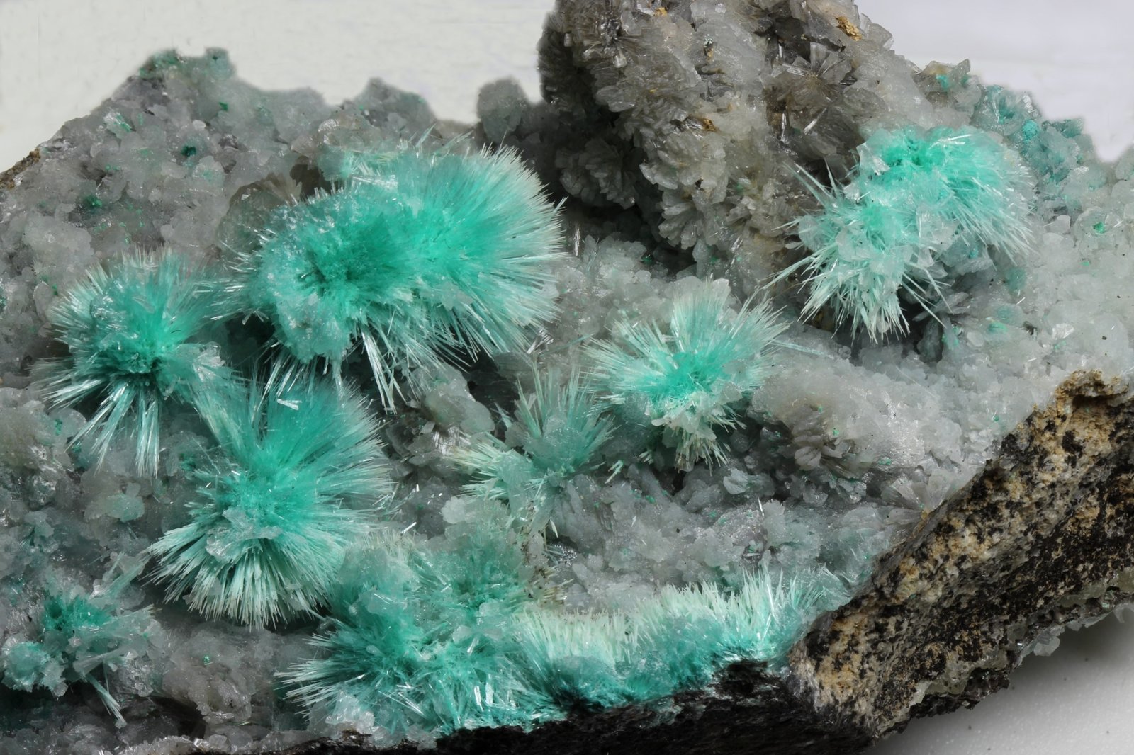 Auricalcita
5x9cm
(Autor: Ramon A  Lopez Garcia)