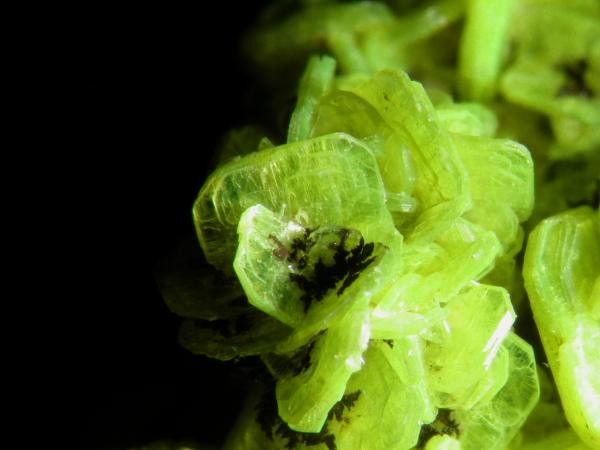 Autunita
Encuadre de 1 cm
(Autor: Cesar M. Salvan)