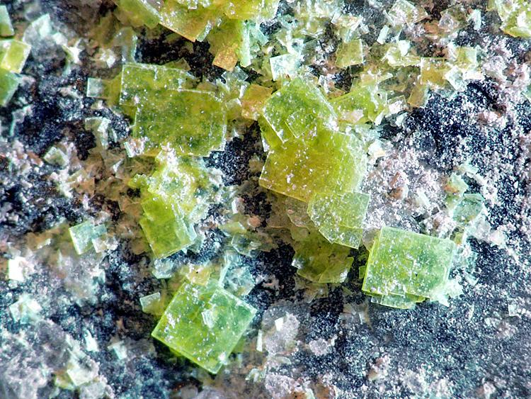 Autunita sobre Cuarzo (variedad ahumado)
Cristales sobre 1mm
(Autor: Javier MC)