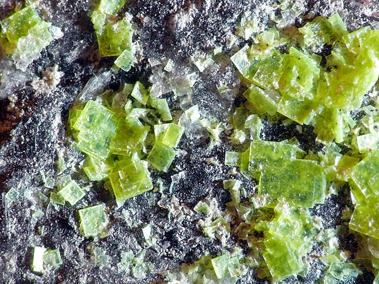 Autunita
Cristales entre 1/2mm a 1mm
(Autor: Javier MC)
