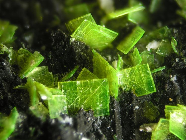 Autunita
FOV 0.5 cm
(Autor: Cesar M. Salvan)