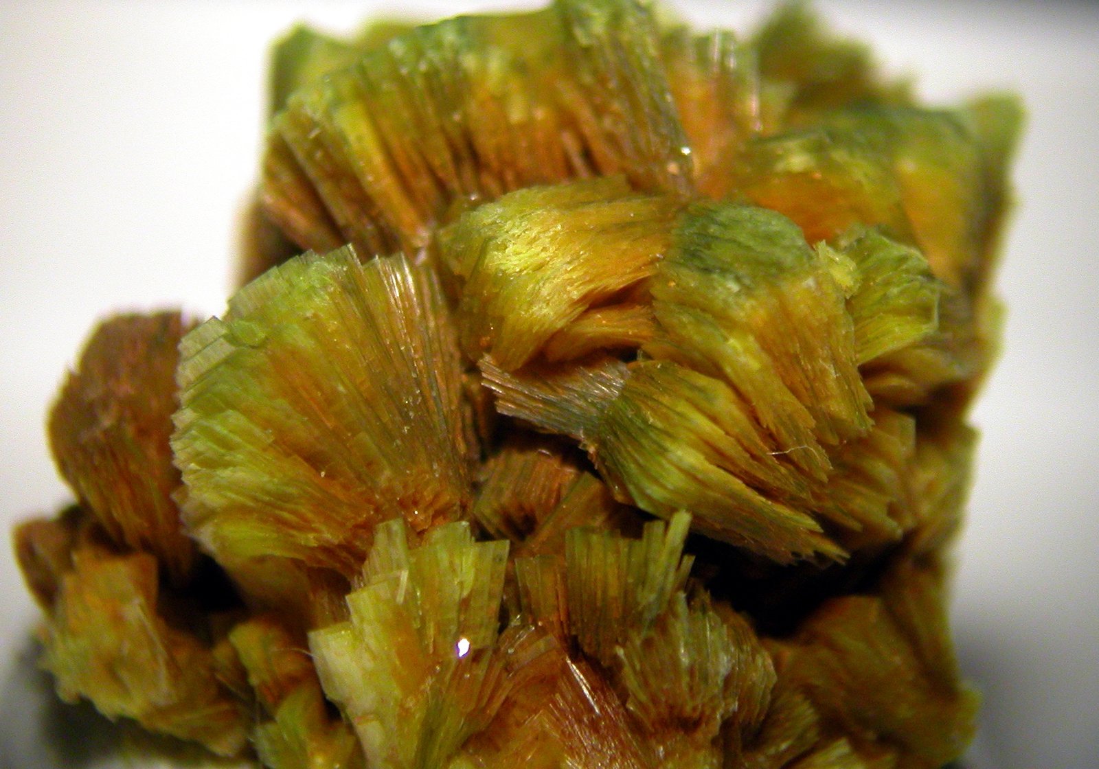 Autunita
3.5 cm
(Autor: Cesar M. Salvan)