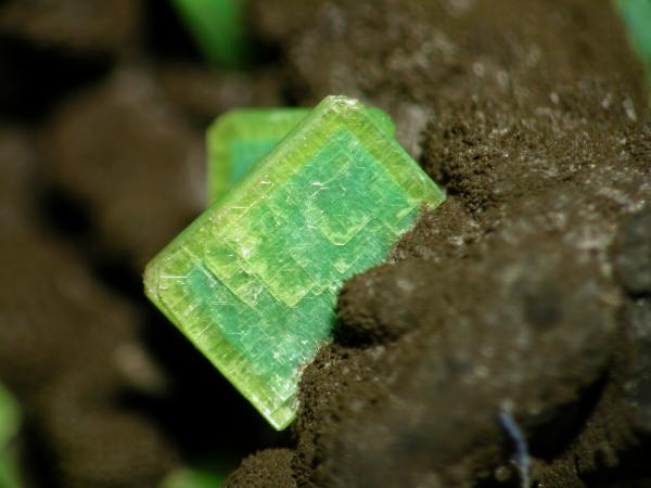 Autunita
Cristal 0.3 cm.
(Autor: Cesar M. Salvan)