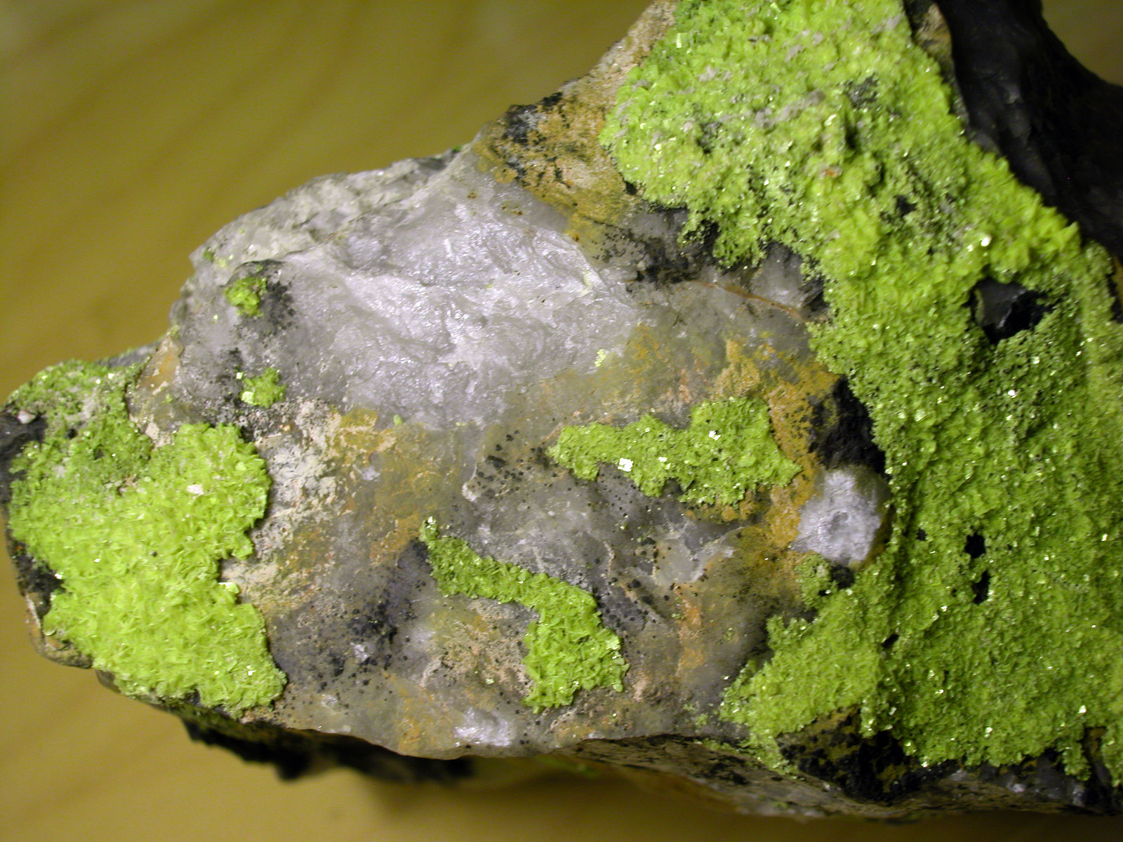Autunita
12 cm
(Autor: Cesar M. Salvan)