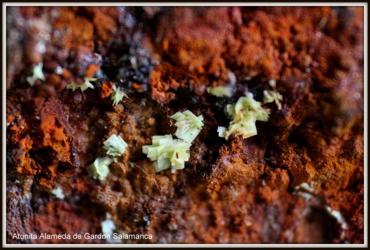 Autunita
Micro
(Autor: canada)