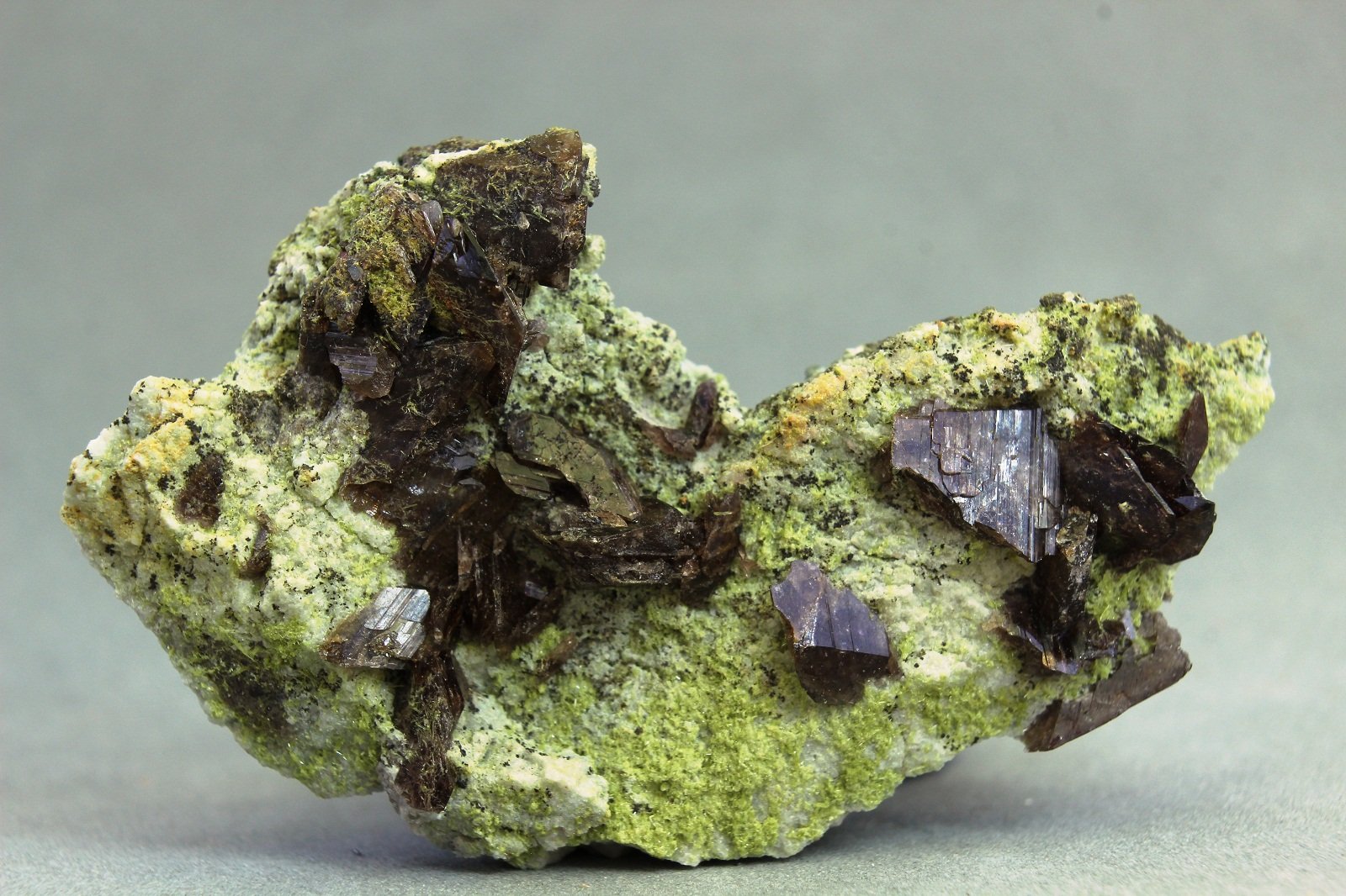 Axinita-(Fe)
45x27x14 mm
(Autor: Juan Espino)