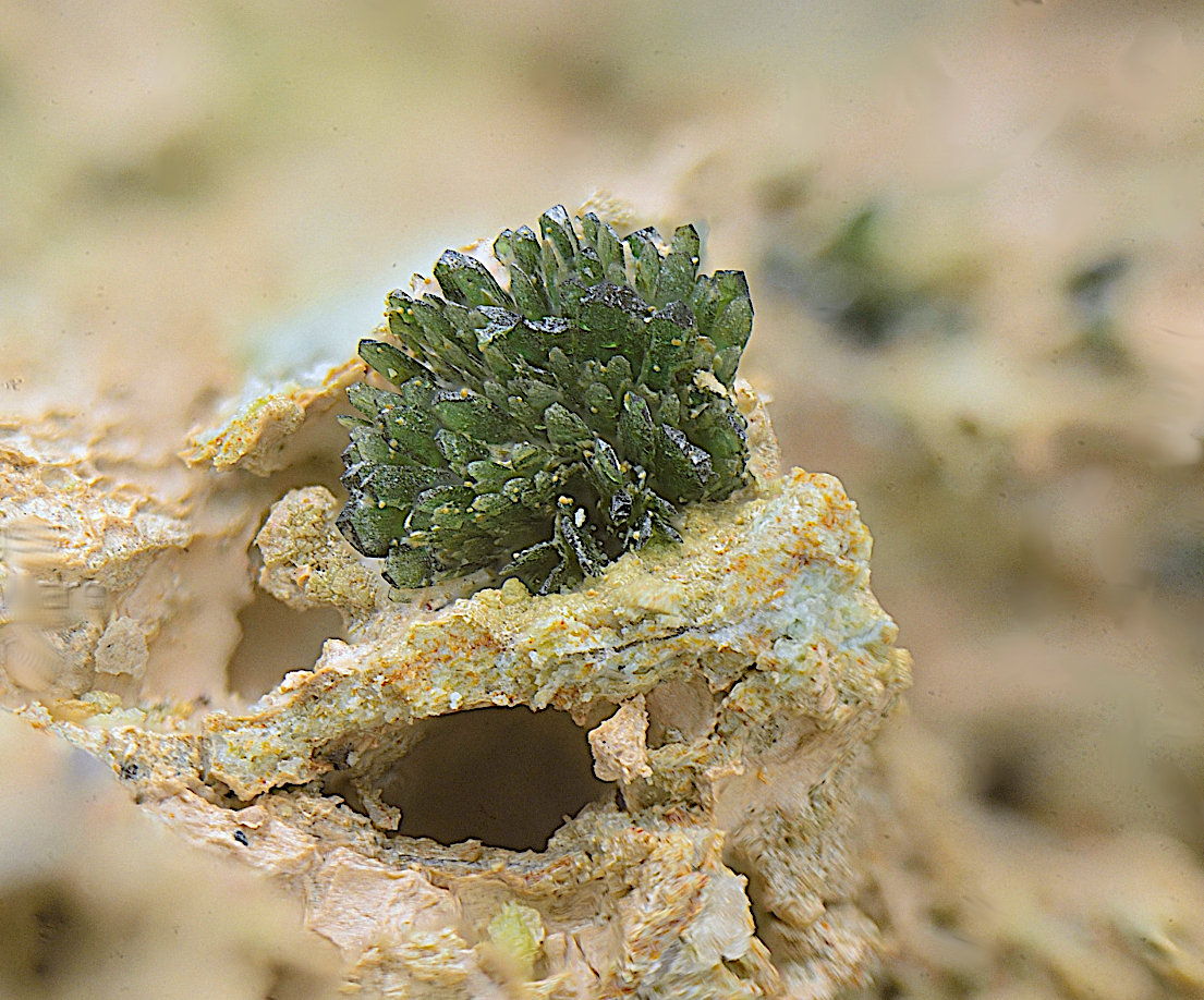 Olivenita.
Campo de visión 4 mm.
(Autor: Antonio Carmona)