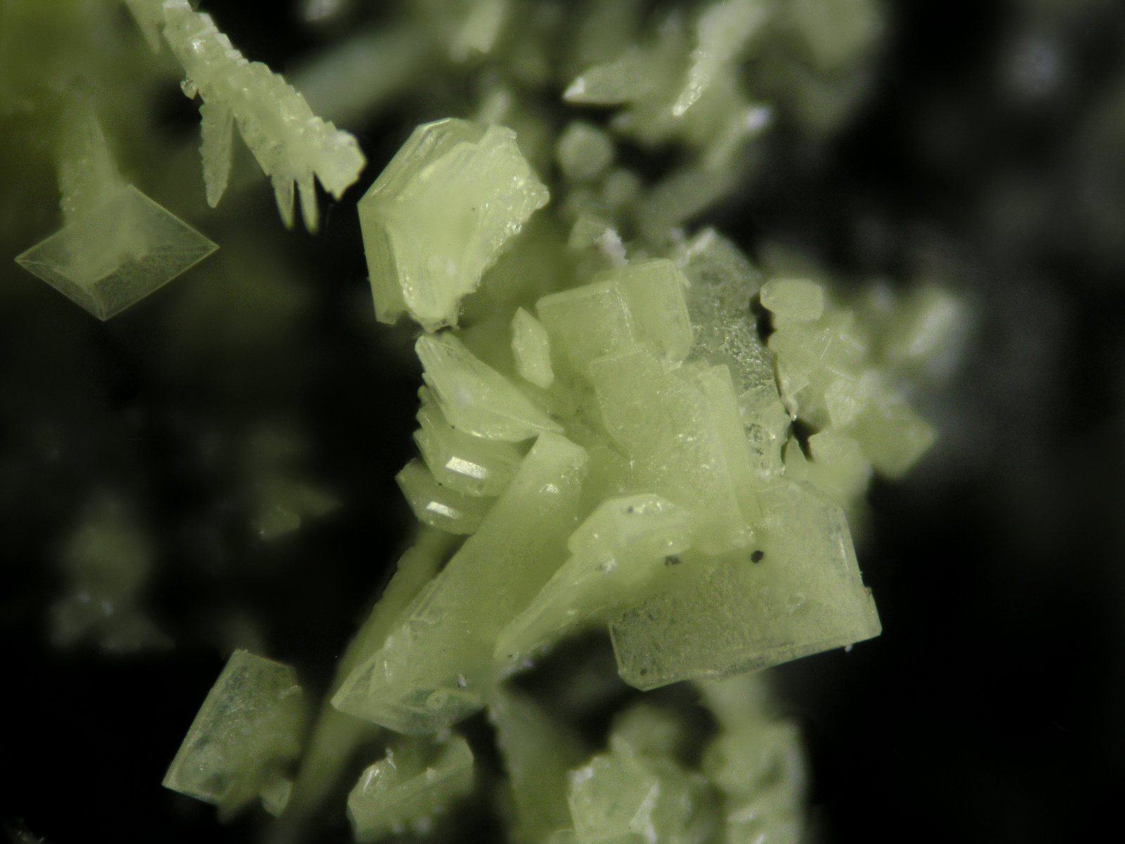 Azufre
FOV 2 mm
(Autor: Cesar M. Salvan)