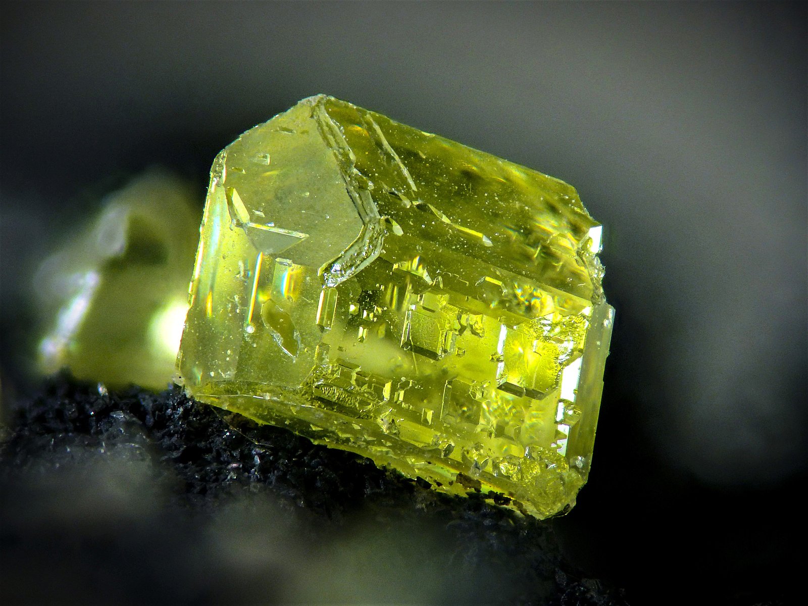 Azufre
2 mm
(Autor: Borja Sainz de Baranda)