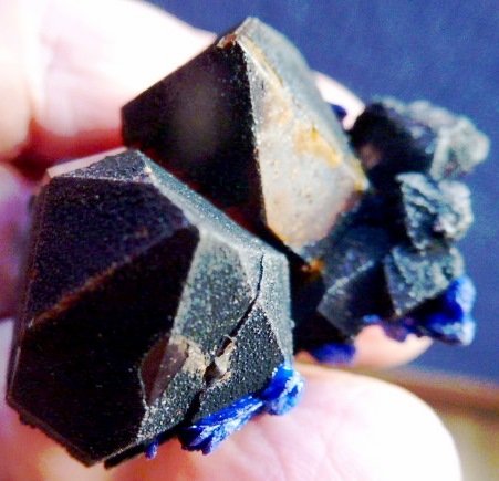 Cuarzo (variedad cristal de roca), Azurita
4 x 3 cm.
(Autor: javier ruiz martin)