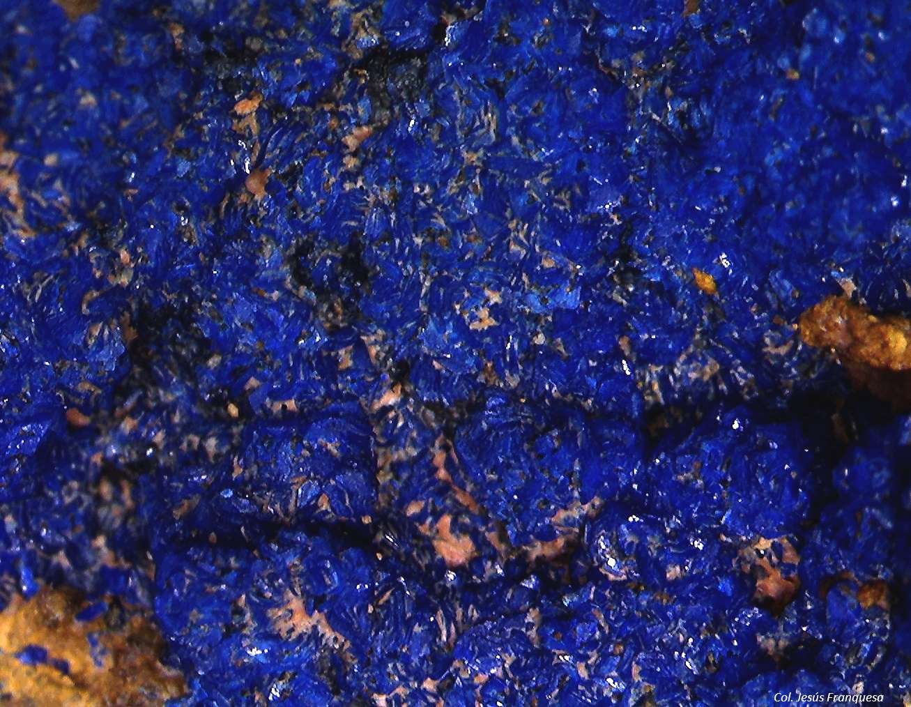 Azurita.
5´413 x 4´119 mm.
(Autor: Jesus Franquesa Baucells)