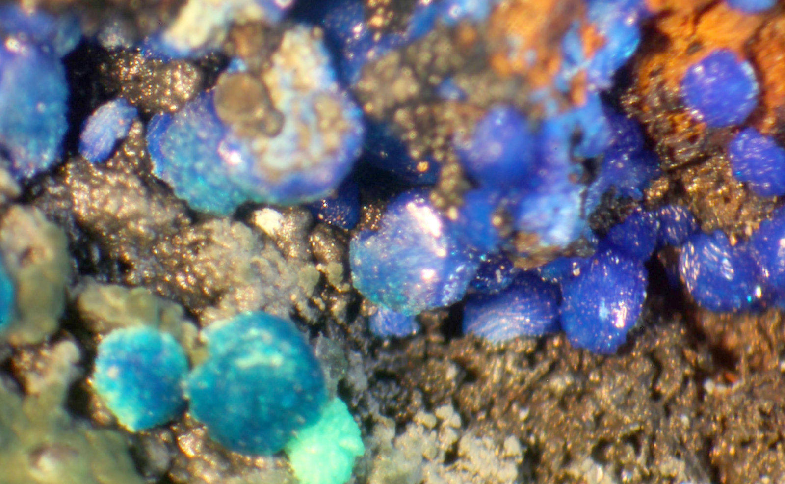 Azurita, Cornwallita, Conichalcita (Conicalcita), Olivenita
25 x 16 x 12 mm.
(Autor: José Luis Zamora)