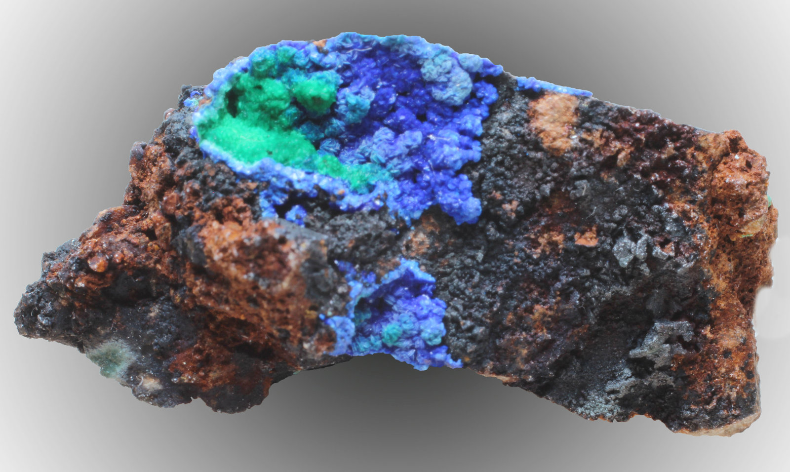 Azurita
30 x 15 x 15 mm
(Autor: José Luis Zamora)