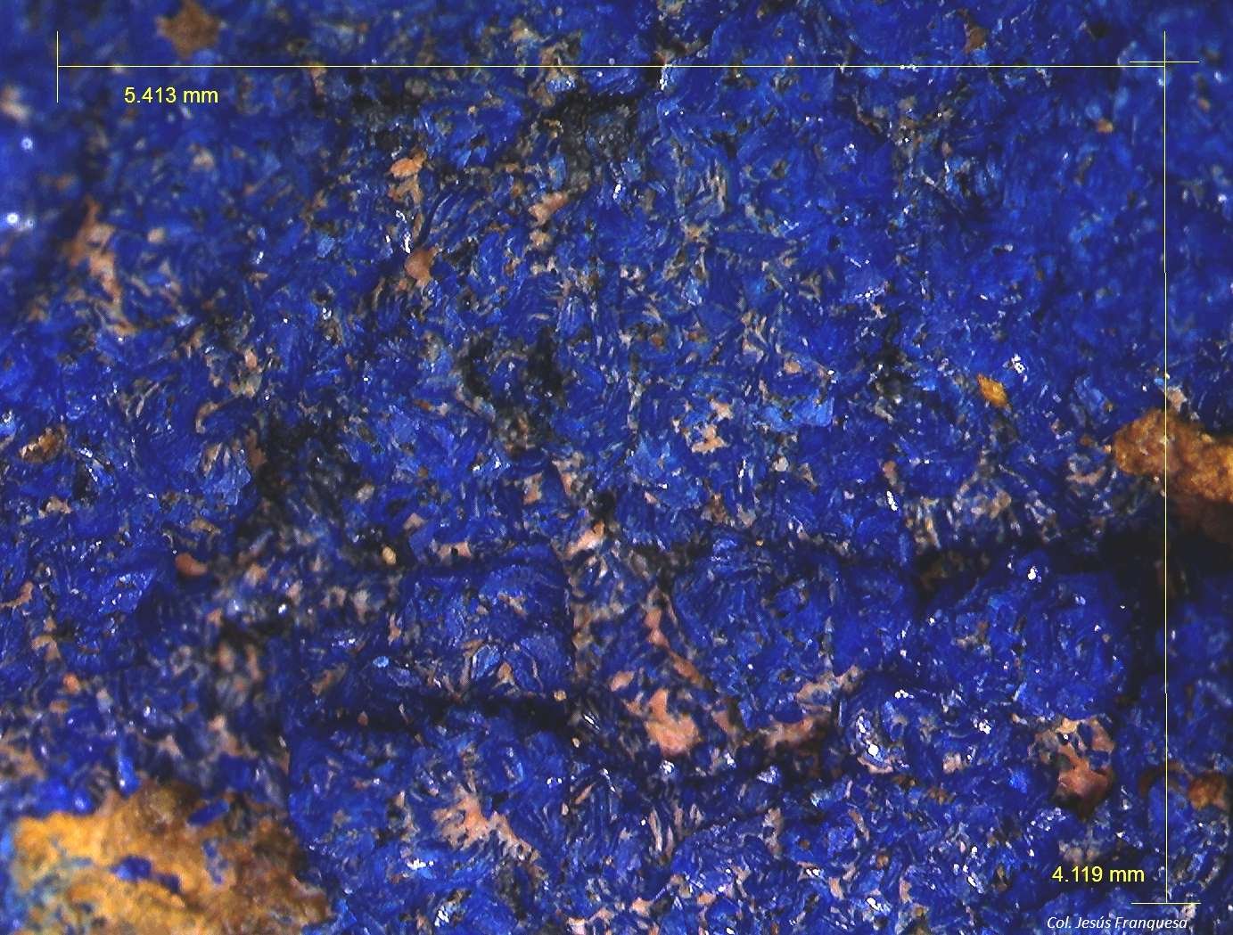 Azurita.
5´413 x 4´119 mm.
(Autor: Jesus Franquesa Baucells)