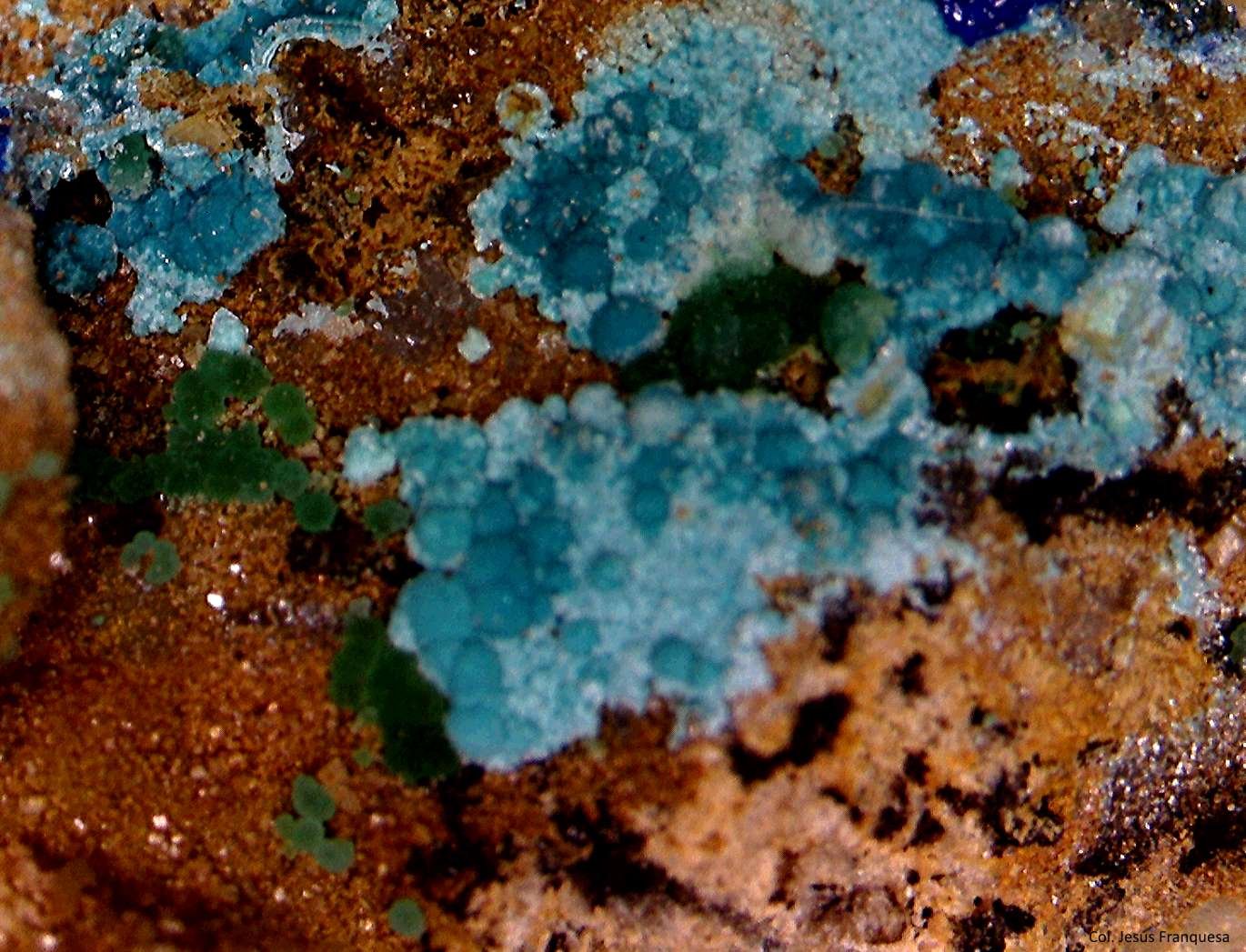 Azurita, Claraita, Adamita.
6´545 x 4´832 mm.
(Autor: Jesus Franquesa Baucells)
