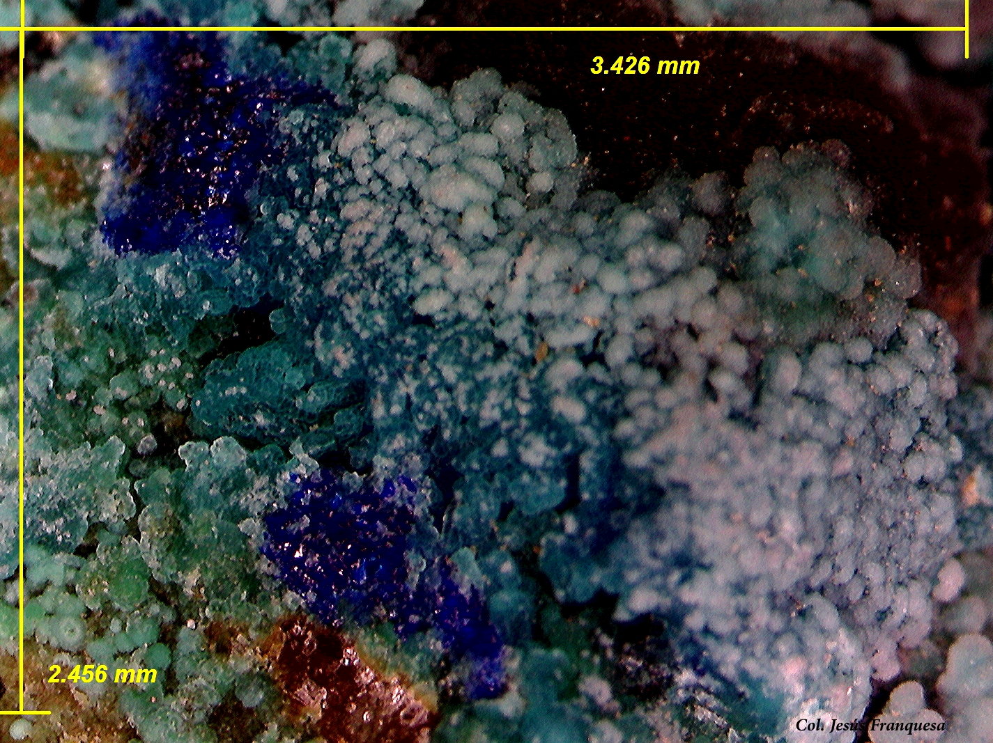 Azurita y Crisocola.
3´42 x 2´45 mm.
(Autor: Jesus Franquesa Baucells)