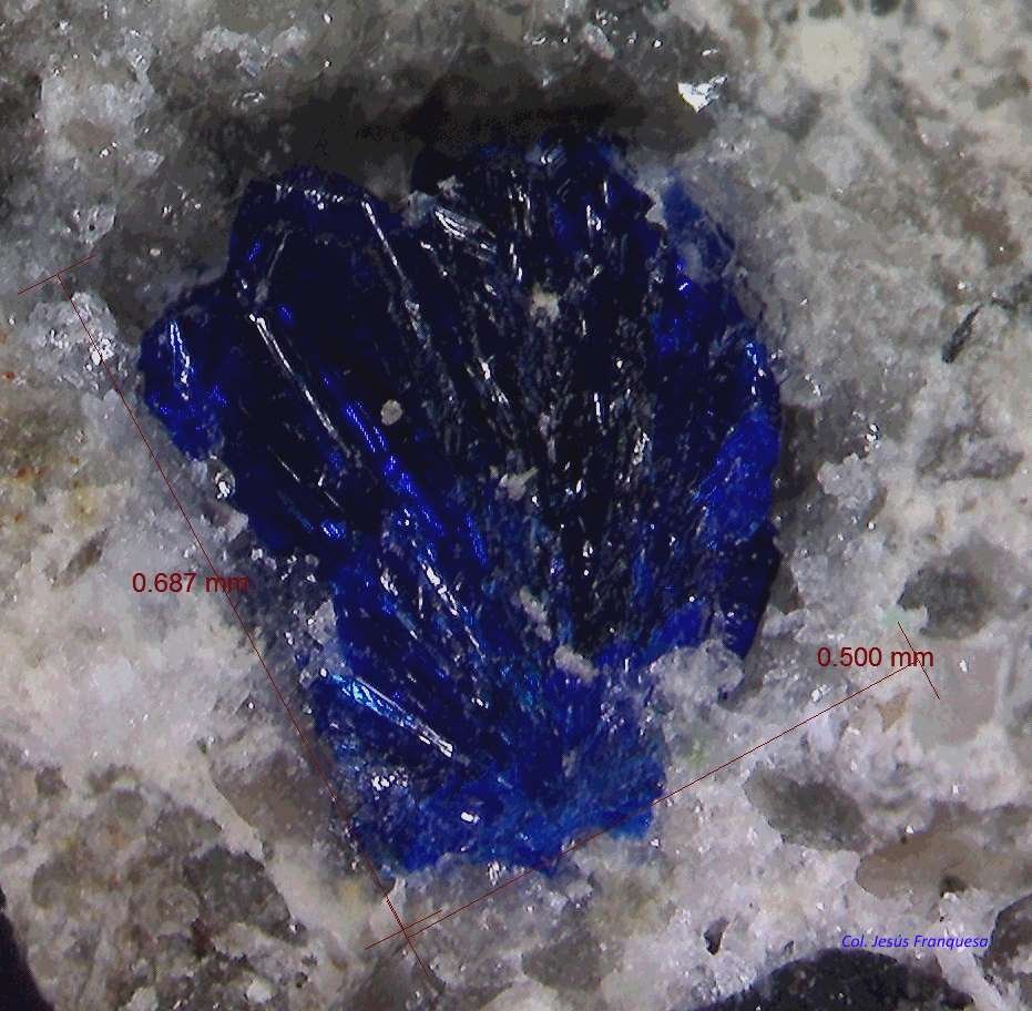 Azurita y Cuarzo
0´687 x 0´500 mm.
(Autor: Jesus Franquesa Baucells)
