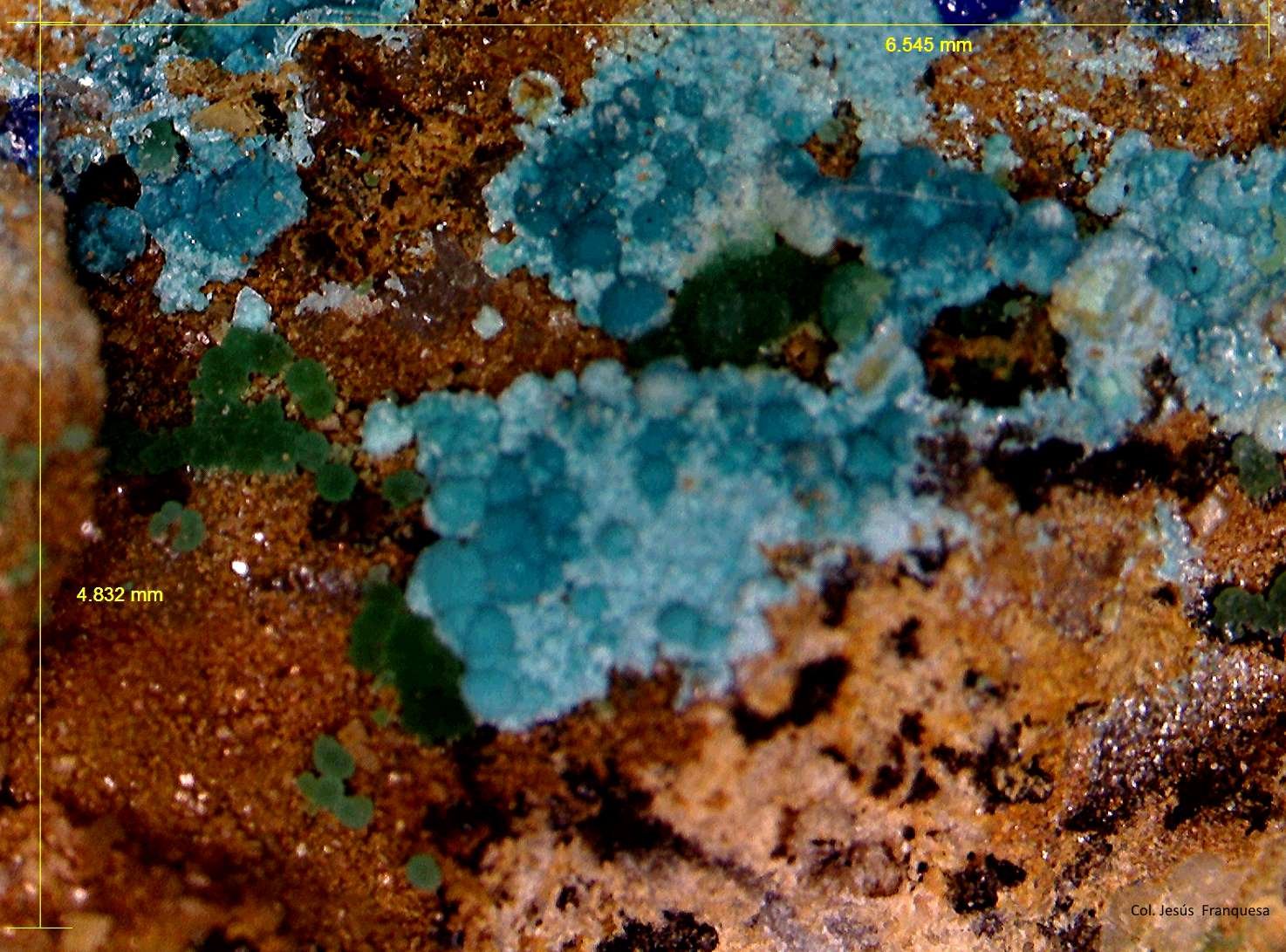 Azurita, Claraita, Adamita.
6´545 x 4´832 mm.
(Autor: Jesus Franquesa Baucells)